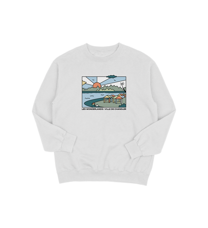 Sweat-shirt Chandler Wonderland, couleur gris, vue de face